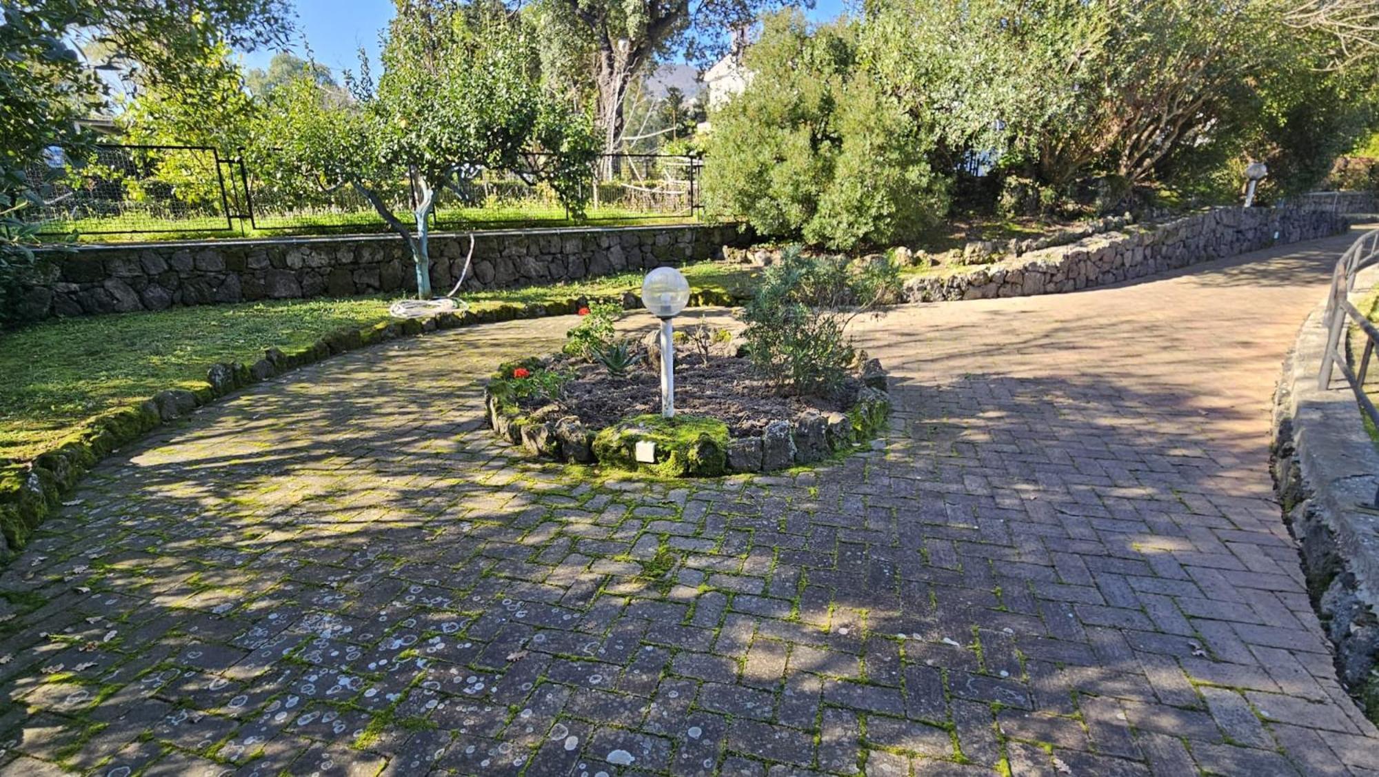Villa Lia - Ischia Porto Εξωτερικό φωτογραφία