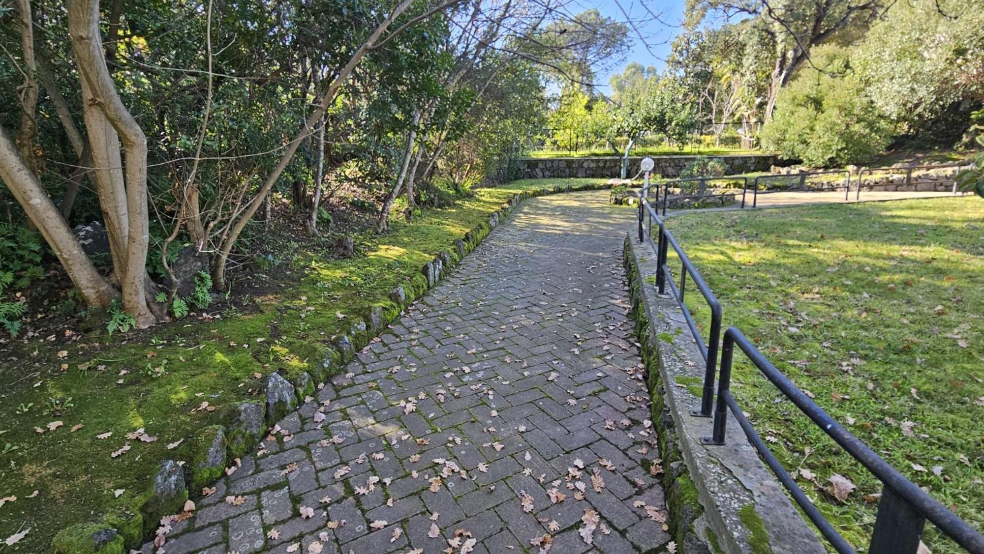 Villa Lia - Ischia Porto Εξωτερικό φωτογραφία